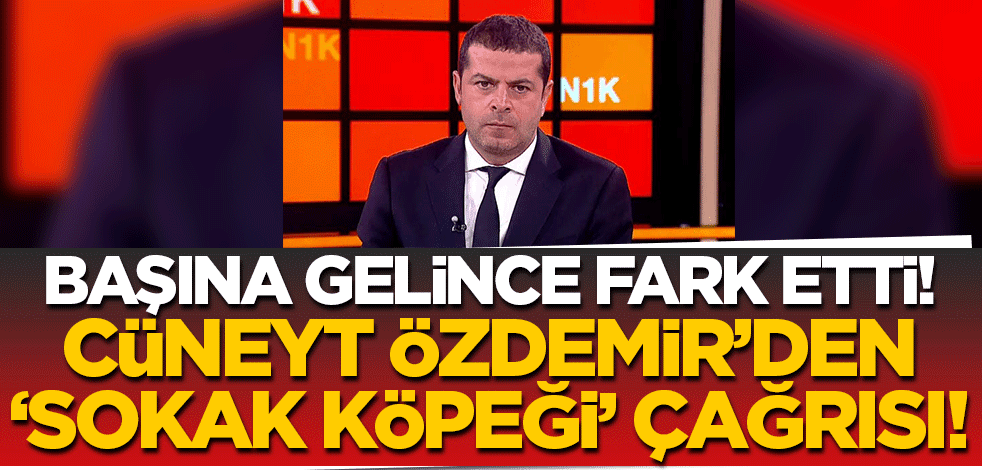Tehlikeyi başına gelince fark etti! Cüneyt Özdemir'den 'sokak köpekleri' için çağrı