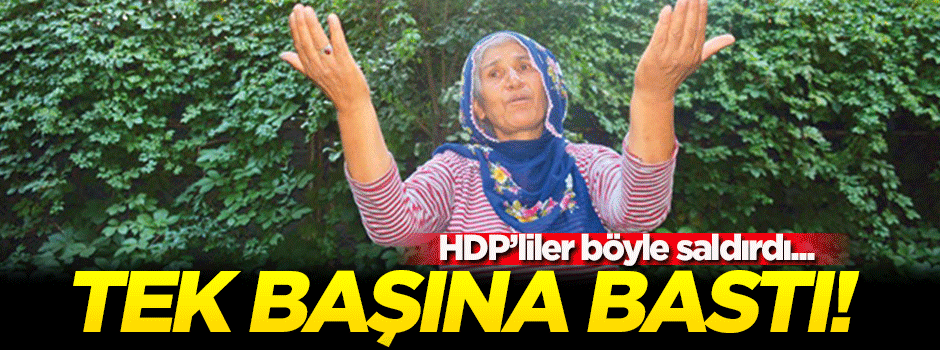 Tek başına HDP binasını bastı! Oğullarımı...