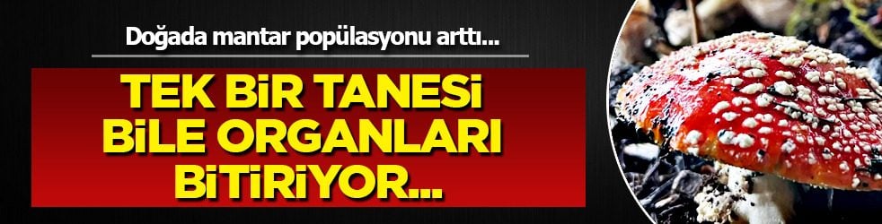 Tek bir tanesi bile organları bitiriyor diyor! ilk kez bu kadar net konuştu: O isimden o sözleri duyan şok olacak