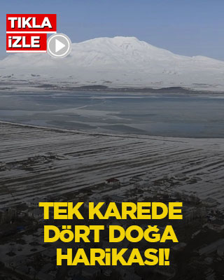 Tek karede dört doğa harikası!