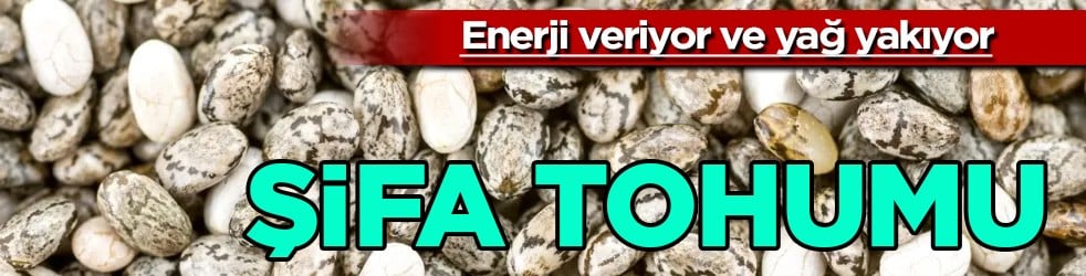 Tek kaşığı açlık hissini durduruyor... İşte yağı eriten şifa: Enerji veriyor ve yağ yakıyor! Daha faydalı