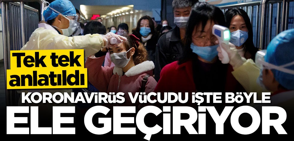 Tek tek anlatıldı: Koronavirüs vücudu işte böyle ele geçiriyor