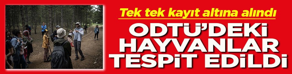Tek tek kayıt altına alındı ODTÜ’deki hayvanlar tespit edildi