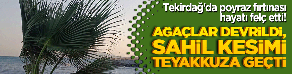 Tekirdağ'da poyraz fırtınası hayatı felç etti! Ağaçlar devrildi, sahil kesimi teyakkuza geçti!