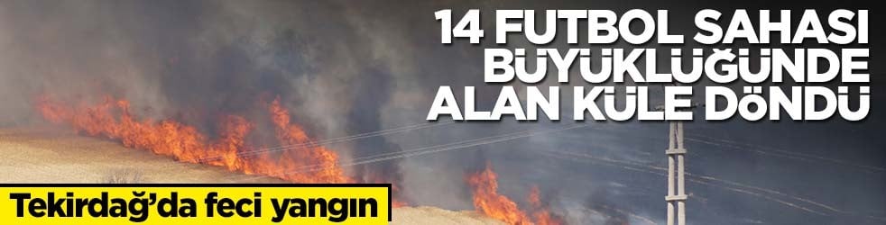 Tekirdağ'dan üzen görüntüler... 14 futbol sahası büyüklüğünde alan küle döndü