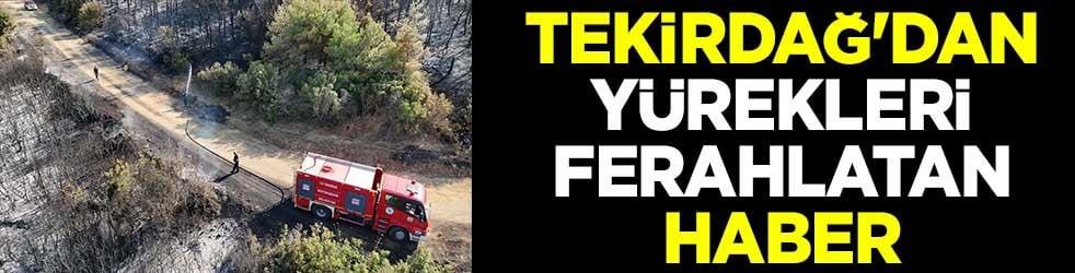 Tekirdağ'dan yürekleri ferahlatan haber