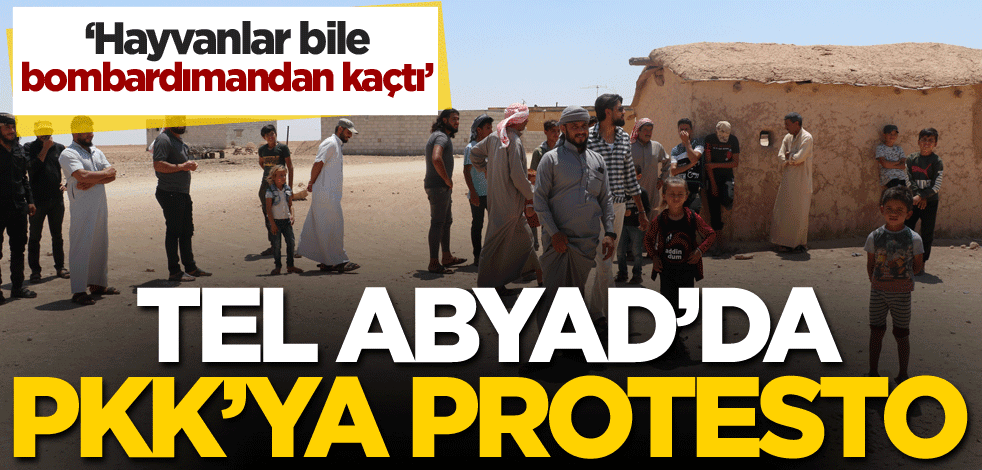 Tel Abyad'da PKK'ya protesto! 'Hayvanlar bile bombardımandan kaçtı'