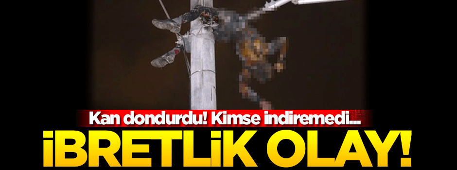 Telleri kesmek isterken feci şekilde can verdi!