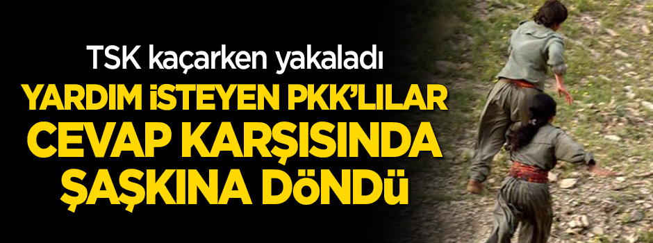 Telsizden yardım isteyen PKK'lılar şaşkına döndü!