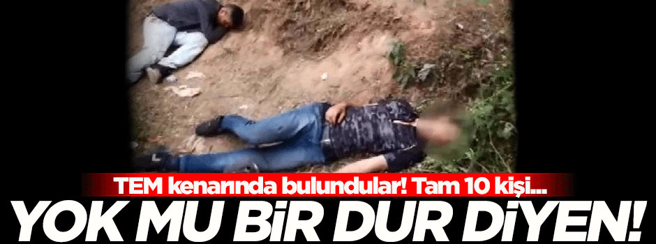TEM kenarında bulundular! Tam 10 kişi...