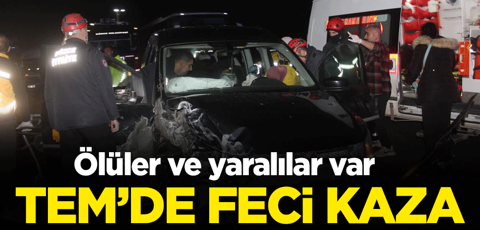 TEM Otoyolu'nda feci kaza: Ölüler ve yaralılar var