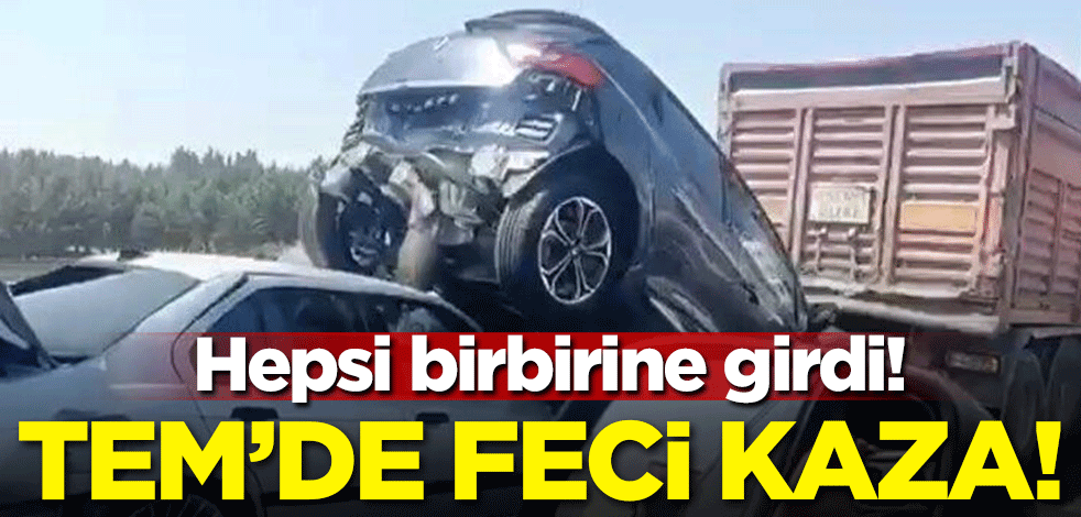 TEM'de feci kaza! Birbirlerine girdiler
