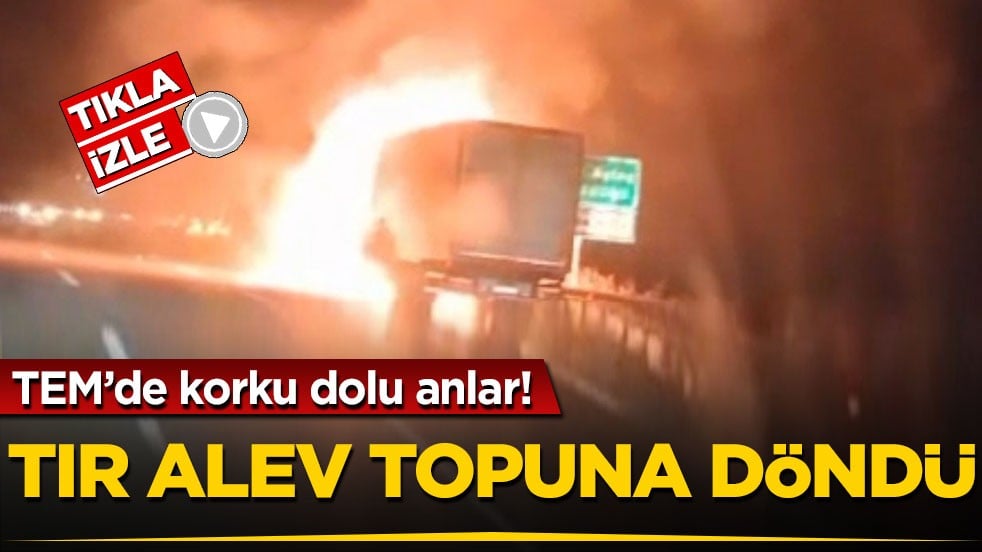 TEM’de korku dolu anlar! Tır alev topuna döndü