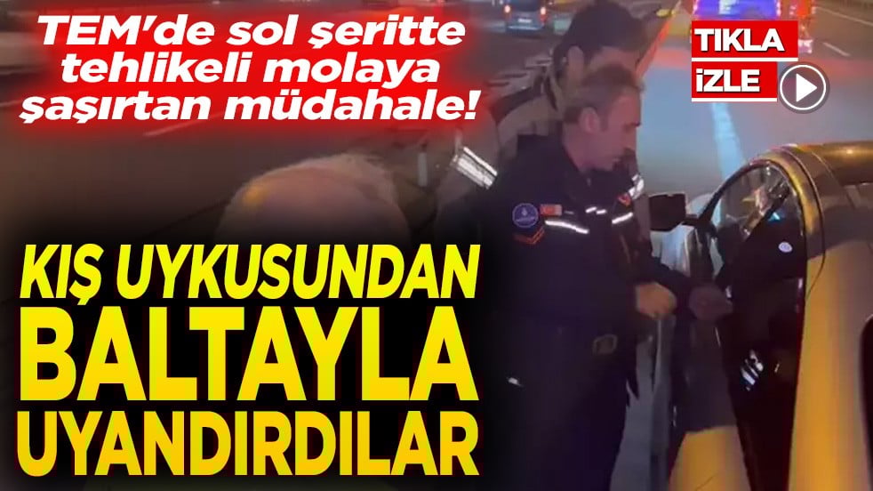 TEM'de sol şeritte tehlikeli molaya şaşırtan müdahale! Kış uykusundan baltayla uyandırdılar
