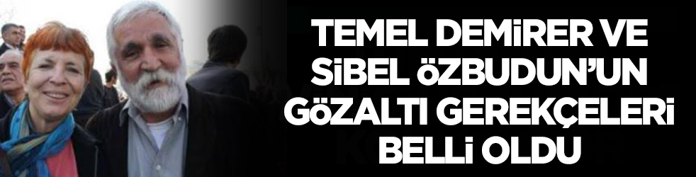 Temel Demirer ve Sibel Özbudun'un gözaltı gerekçeleri belli oldu