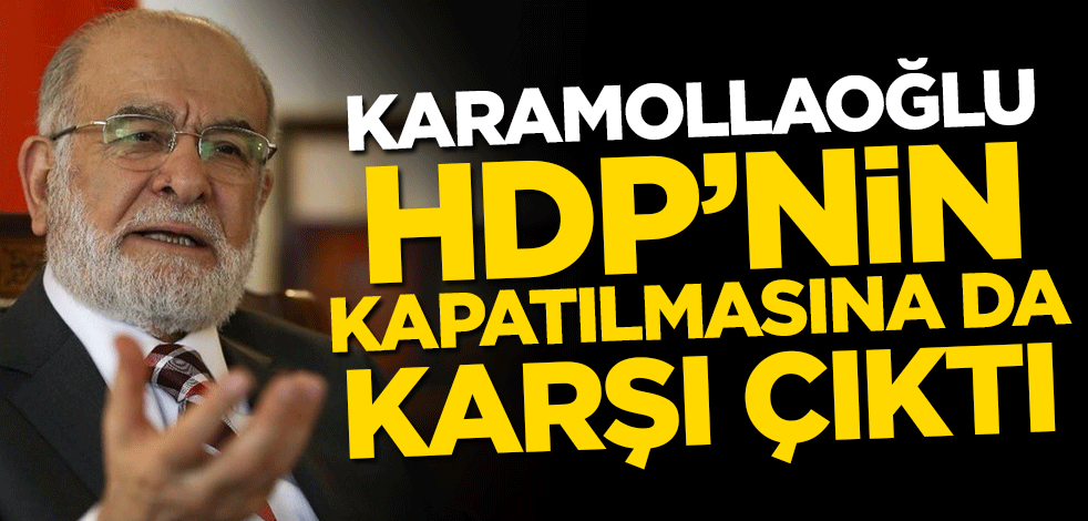 Temel Karamollaoğlu: HDP'nin düşüncelerinden dolayı kapatılmasına karşıyım