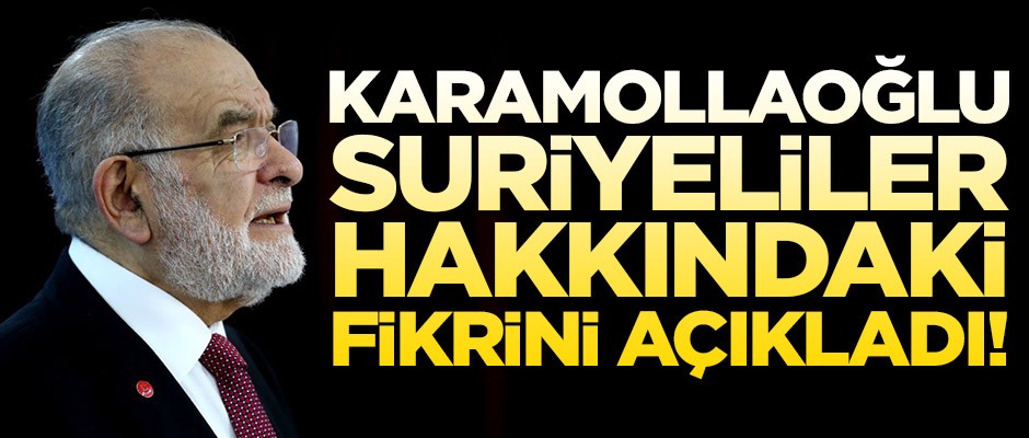 Temel Karamollaoğlu Suriyeliler hakkındaki fikrini açıkladı!