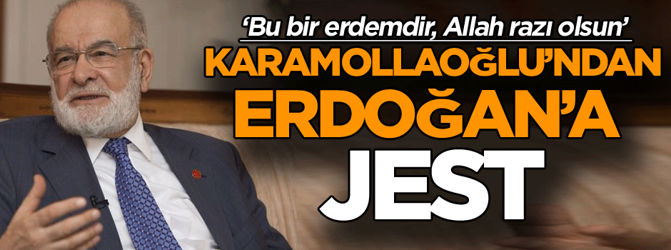 Temel Karamollaoğlu'ndan Cumhurbaşkanı Erdoğan'ın 'hayır' çadırı ziyaretine yorum