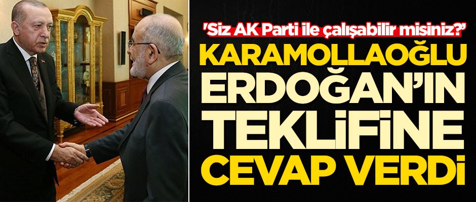 Temel Karamollaoğlu'ndan Erdoğan'ın teklifine çarpıcı sözler!