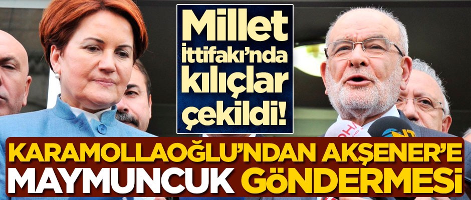Temel Karamollaoğlu'ndan Meral Akşener'e 'maymuncuk' göndermesi