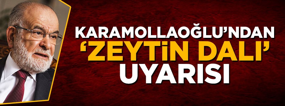 Temel Karamollaoğlu'ndan Zeytin Dalı uyarısı