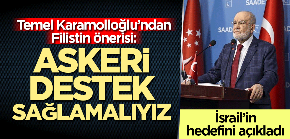 Temel Karamolloğlu'ndan Filistin açıklaması: Askeri destek sağlamalıyız