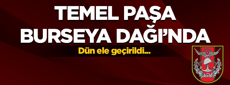 Temel Paşa, TSK'nın aldığı Burseya Dağı'nda!