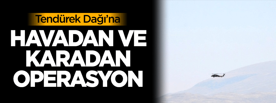 Tendürek Dağı'na havadan ve karadan operasyon