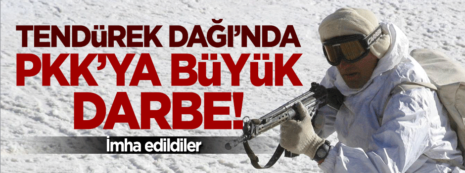 Tendürek Dağında PKK’ya büyük darbe!