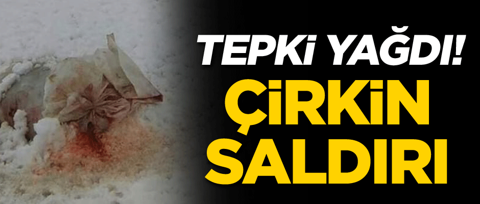 Tepki yağdı! Çirkin saldırı