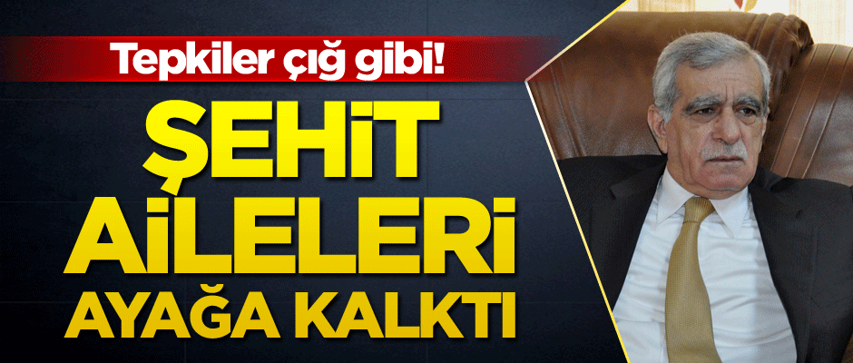Tepkiler çığ gibi! Şehit aileleri ayağa kalktı