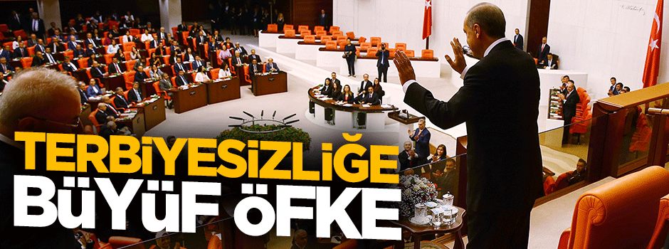 Terbiyesizliğe öfke