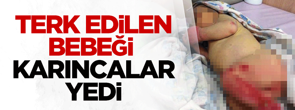 Terk edilen 3 günlük bebeği karıncalar yedi