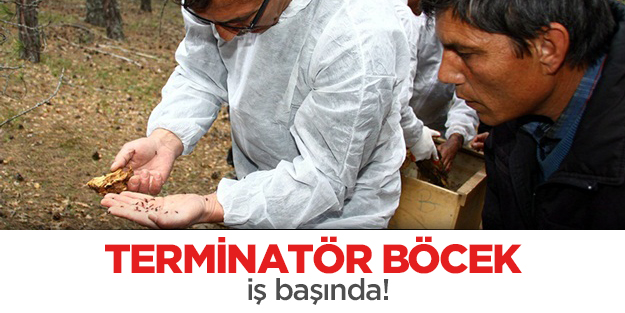 ‘Terminatörler’ işbaşında