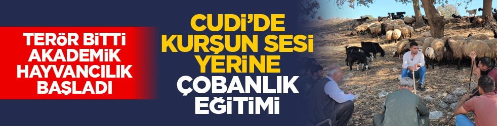 Terör bitti, akademik hayvancılık başladı: Cudi’de kurşun sesi yerine çobanlık eğitimi