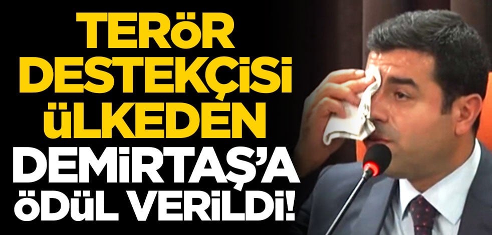 Terör destekçisi ülkeden Selahattin Demirtaş'a ödül!