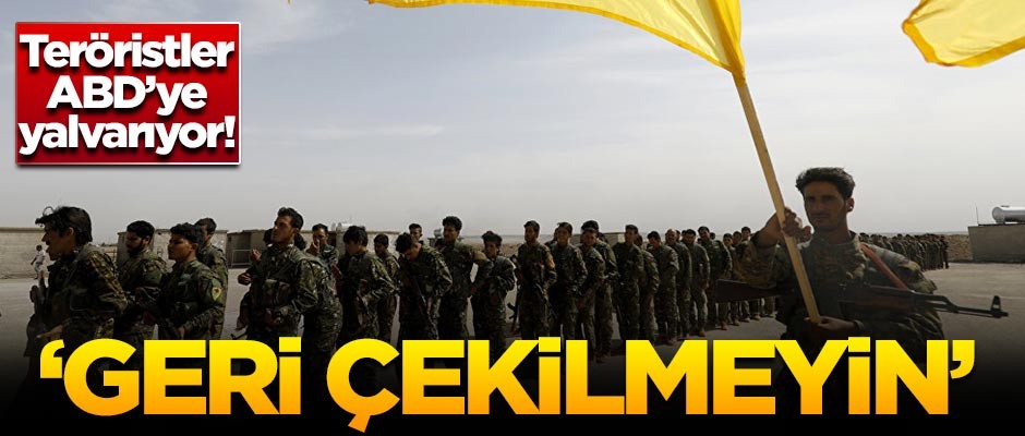 Terör örgütü ABD'ye yalvardı!