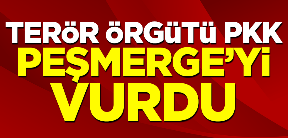 Terör örgütü PKK Peşmerge'yi vurdu