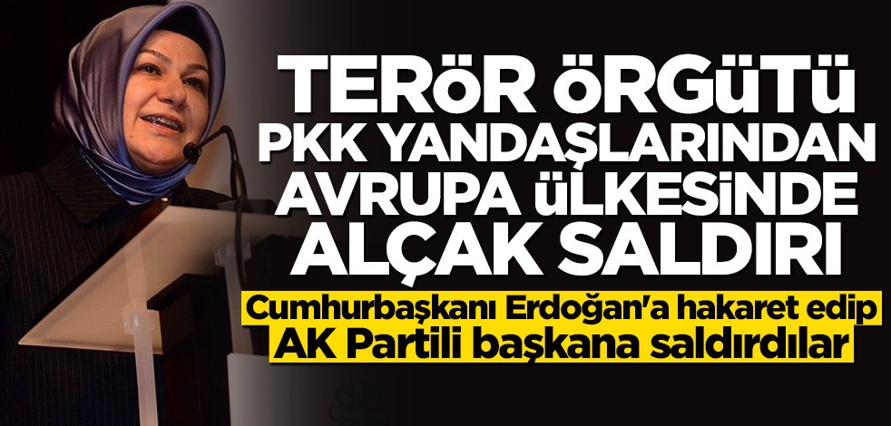 Terör örgütü PKK yandaşları Sancaktepe Belediye Başkanı Döğücü'ye saldırdı