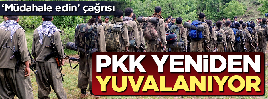 Terör örgütü PKK yeniden yuvalanıyor