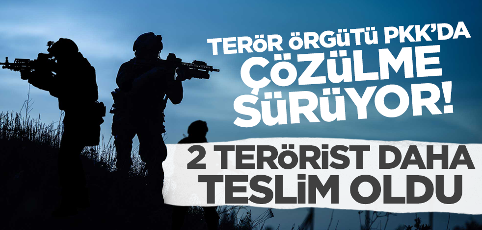 Terör örgütü PKK'da çözülme sürüyor! 2 terörist teslim oldu
