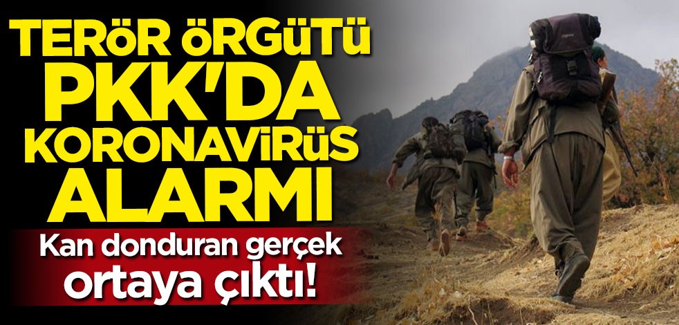 Terör örgütü PKK'da koronavirüs alarmı! Kan donduran gerçek ortaya çıktı