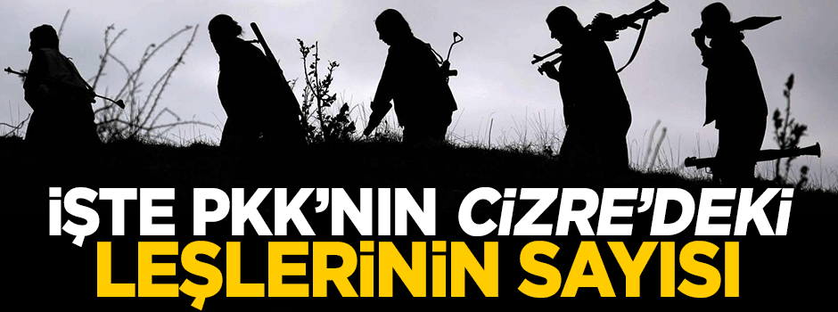 Terör örgütü PKK'nın Cizre'deki kayıp sayısı açıklandı