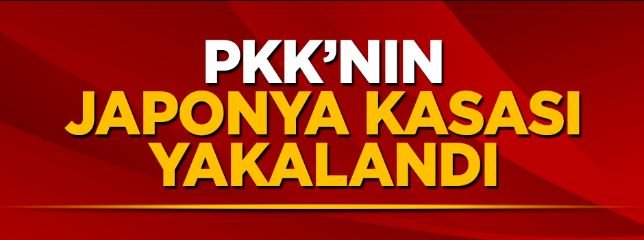 Terör örgütü PKK'nın Japonya kasası yakalandı