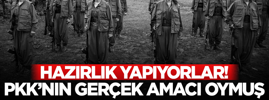 Terör örgütü PKK'nın kanton oyunu deşifre oldu