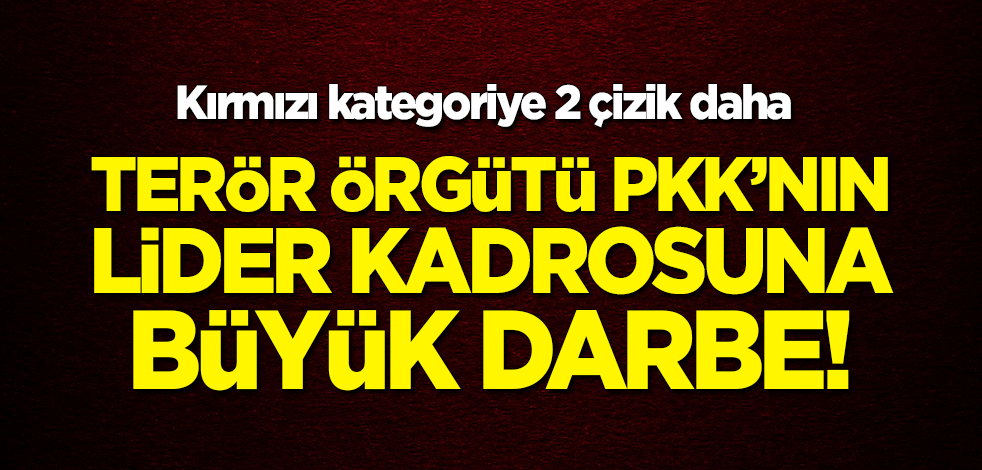 Terör örgütü PKK'nın lider kadrosuna büyük darbe! Kırmızı kategoriye 2 çizik daha