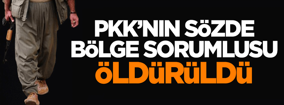 Terör örgütü PKK'nın sözde bölge sorumlusu öldürüldü