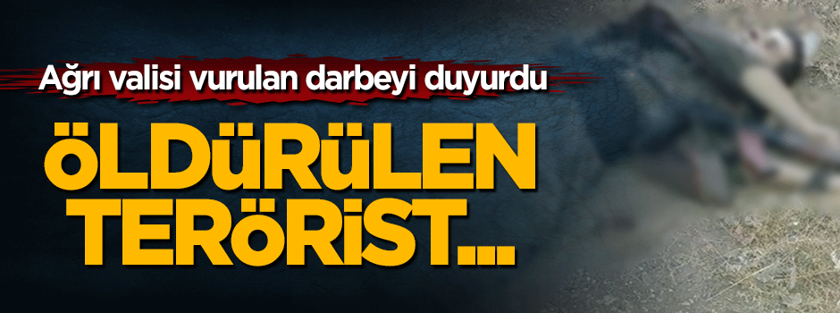 Terör örgütü PKK'nın sözde Doğubayazıt sorumlusu öldürüldü!