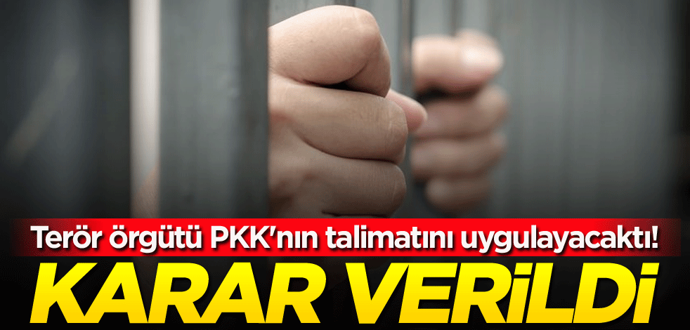 Terör örgütü PKK'nın talimatını uygulayacaktı! Karar verildi