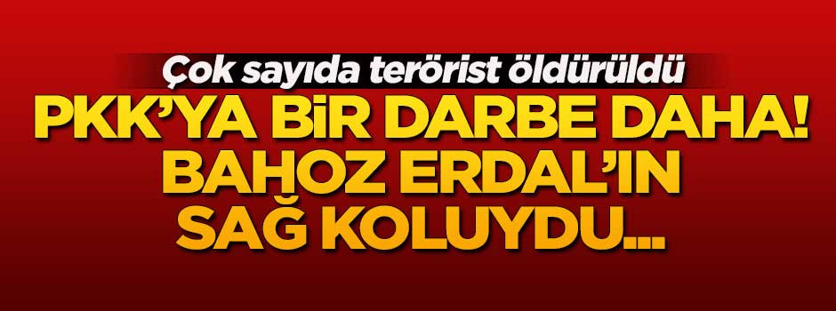 Terör örgütü PKK'ya bir darbe daha!